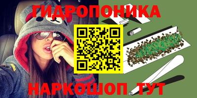 сатива Вышний Волочёк